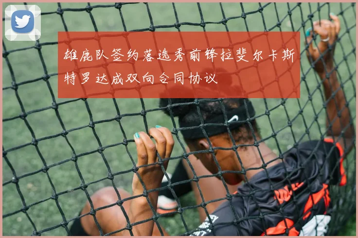 雄鹿队签约落选秀前锋拉斐尔卡斯特罗达成双向合同协议